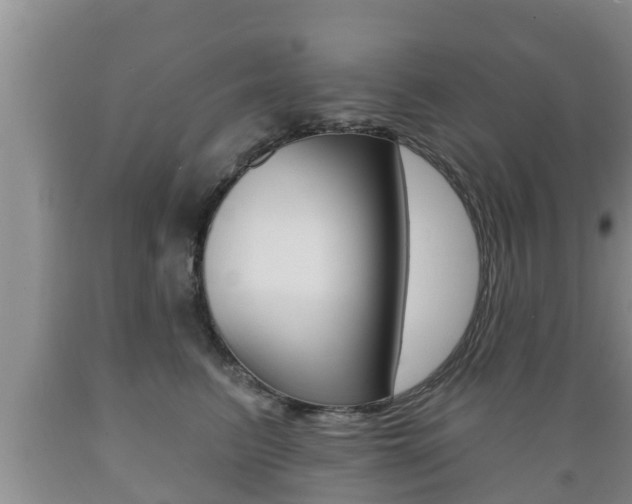 X0000089760615200706210956