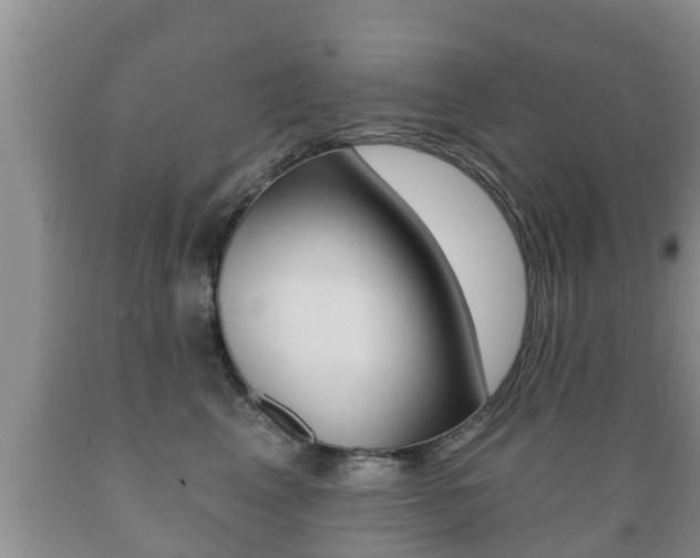X0000089760617200706210956