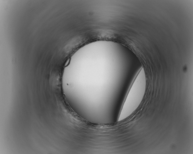 X0000089760619200706210956
