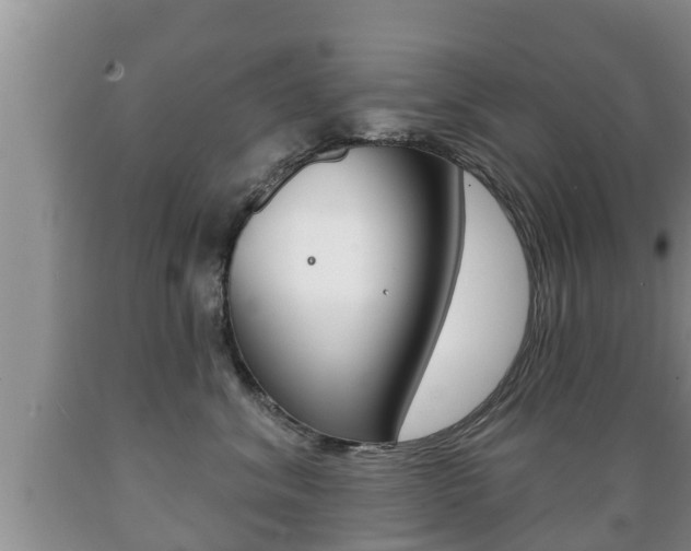 X0000089760620200706210956