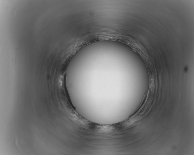 X0000089760621200706210956