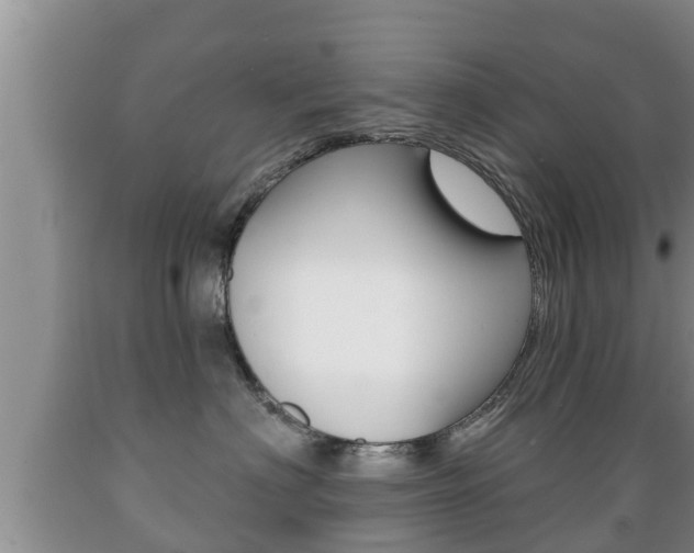 X0000089760622200706210956
