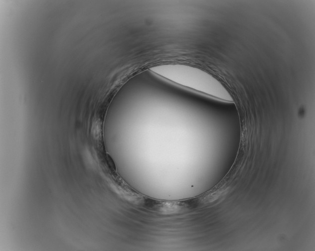 X0000089760623200706210956