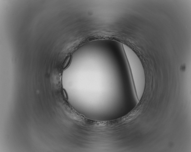 X0000089760624200706210956
