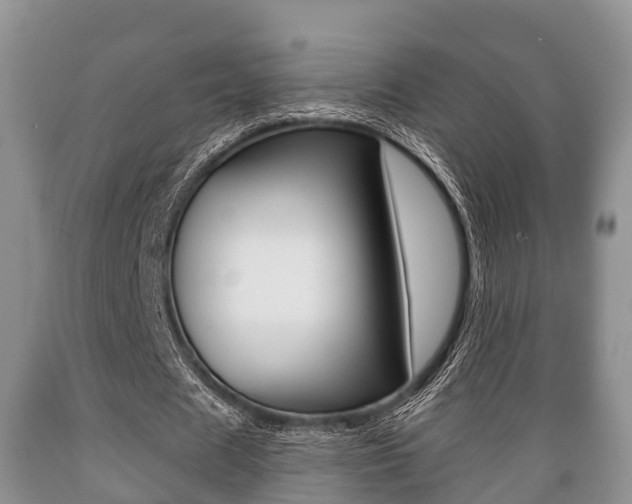 X0000089760625200706210955