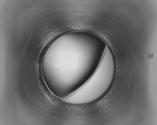 X0000089760626200706210955