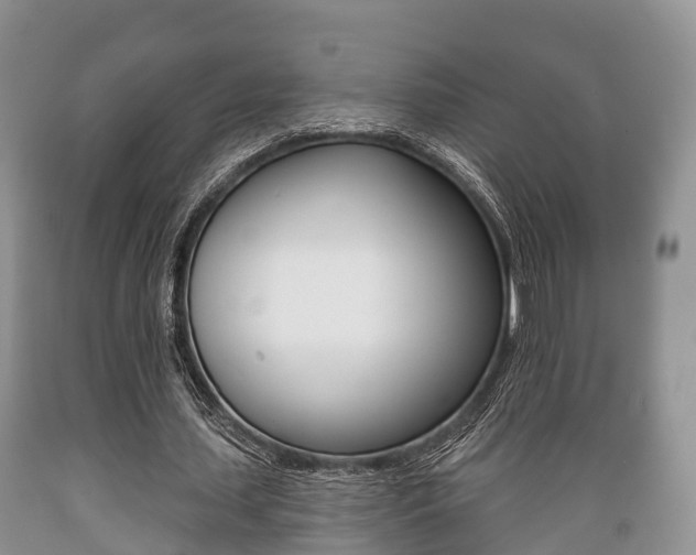 X0000089760627200706210955