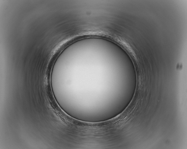 X0000089760628200706210955