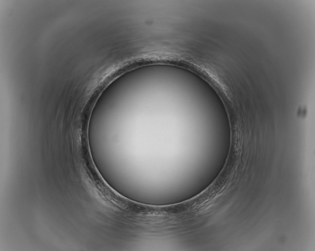 X0000089760631200706210955