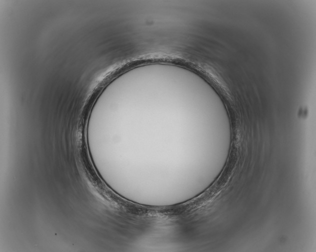 X0000089760632200706210955