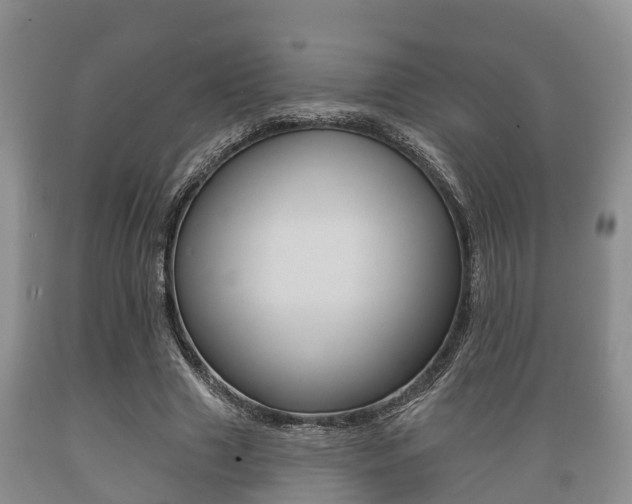 X0000089760633200706210955