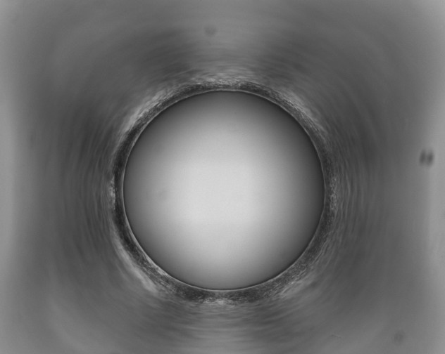 X0000089760634200706210955