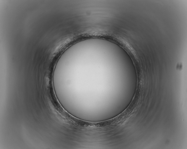 X0000089760635200706210955