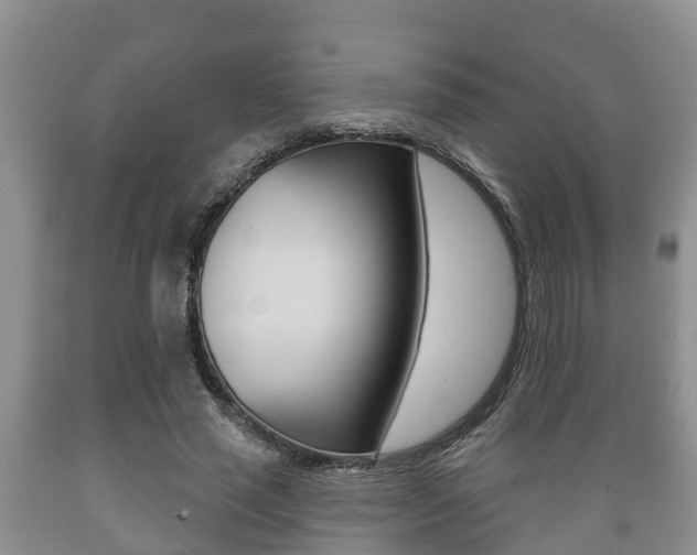 X0000089760637200706210955
