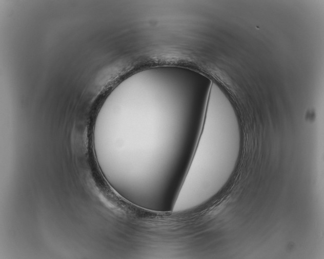 X0000089760638200706210955