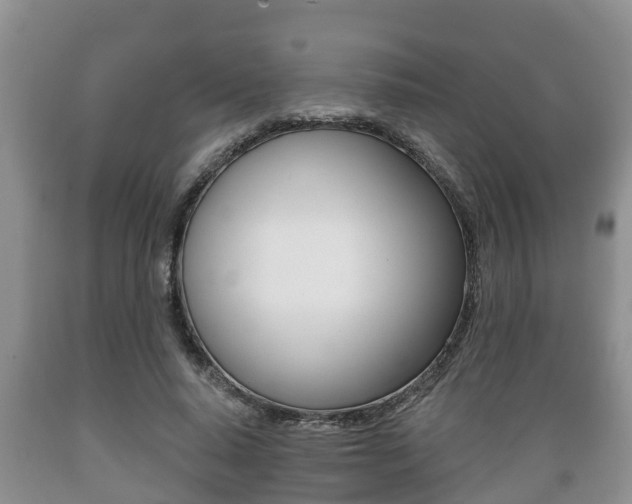 X0000089760640200706210955