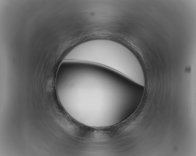 X0000089760641200706210955