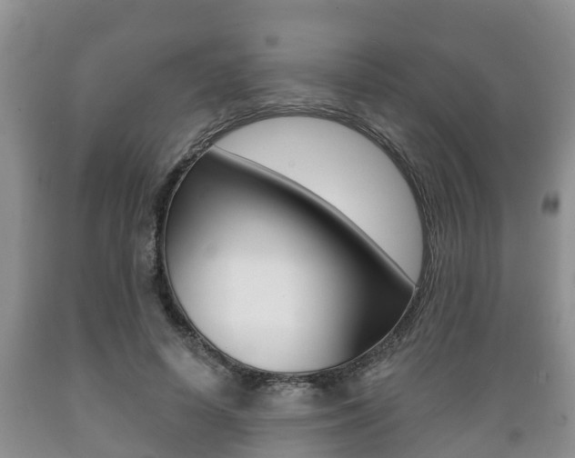 X0000089760642200706210955