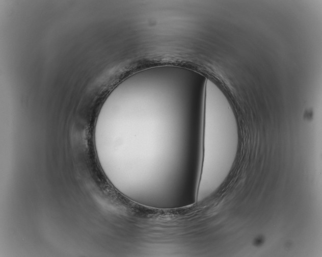 X0000089760643200706210955