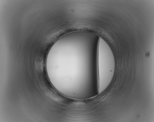 X0000089760644200706210955