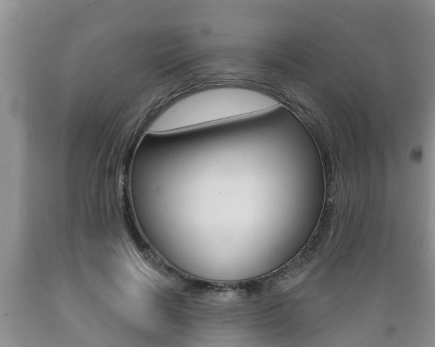X0000089760646200706210955