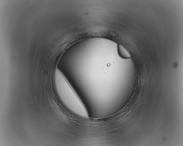 X0000089760647200706210955