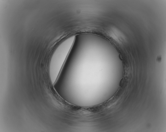 X0000089760648200706210955