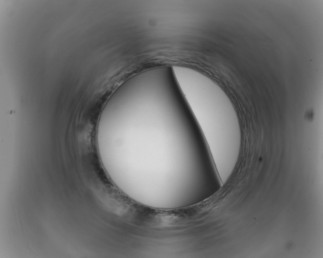 X0000089760650200706210955