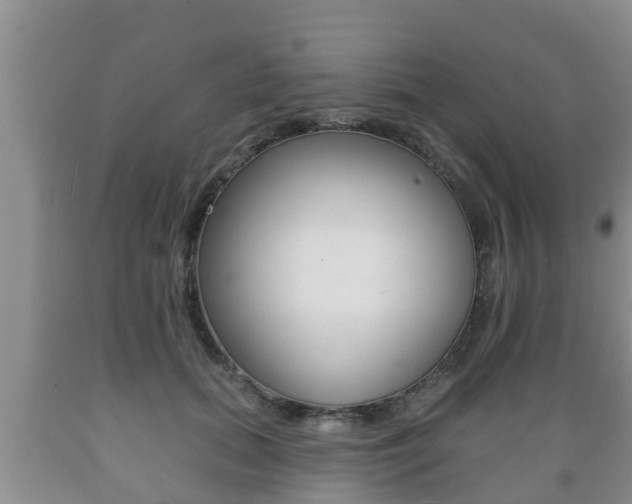X0000089760655200706210955