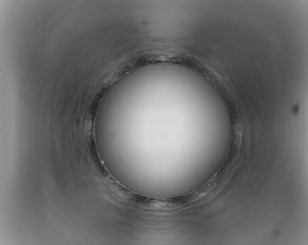 X0000089760657200706210955