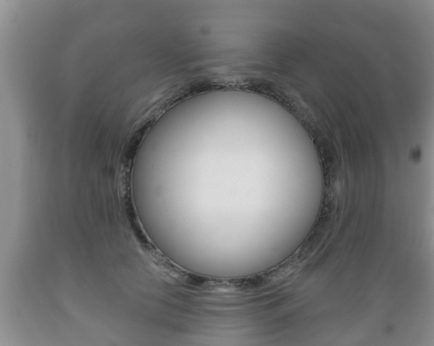 X0000089760658200706210955