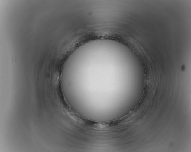 X0000089760660200706210955