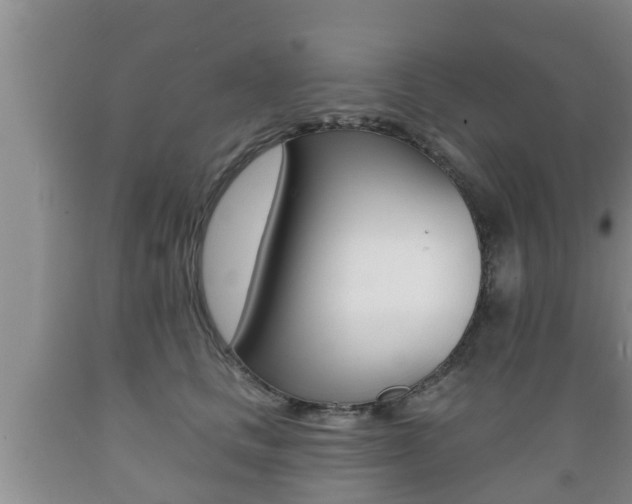 X0000089760661200706210955