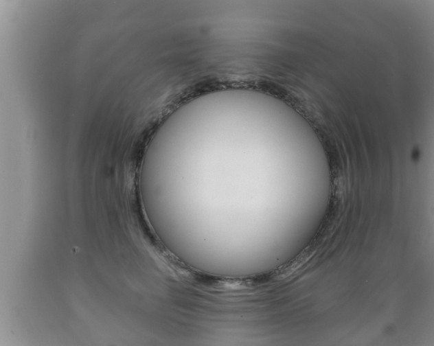X0000089760662200706210955