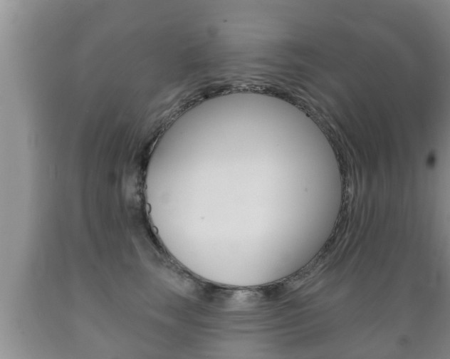 X0000089760663200706210955
