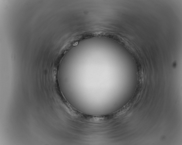 X0000089760664200706210955
