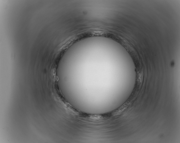 X0000089760666200706210956
