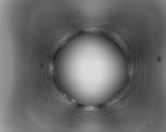 X0000089760669200706210956