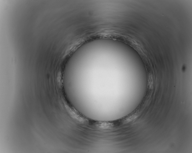 X0000089760670200706210956