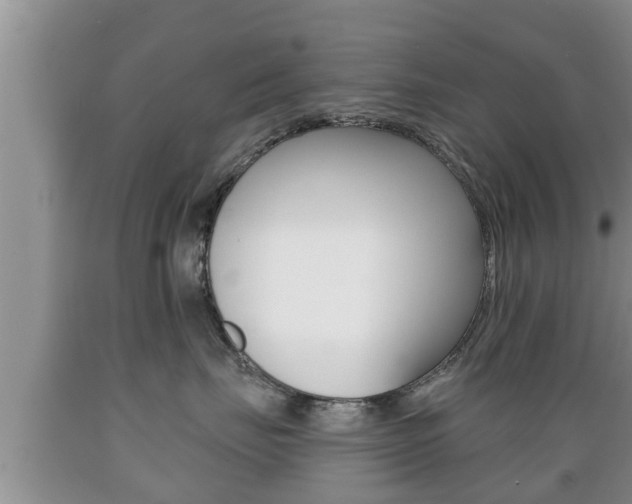 X0000089760671200706210956