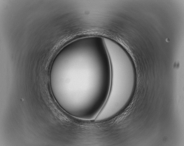 X0000089760673200706210955