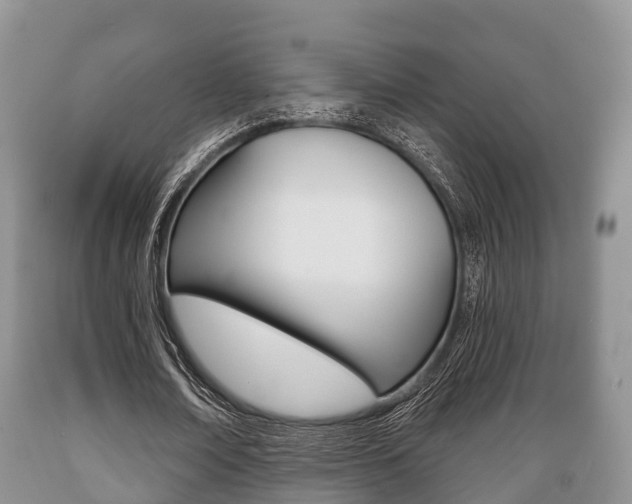 X0000089760674200706210955