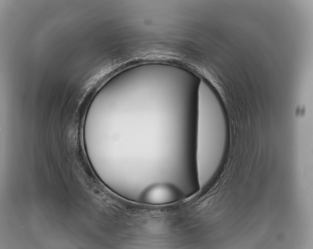 X0000089760675200706210955