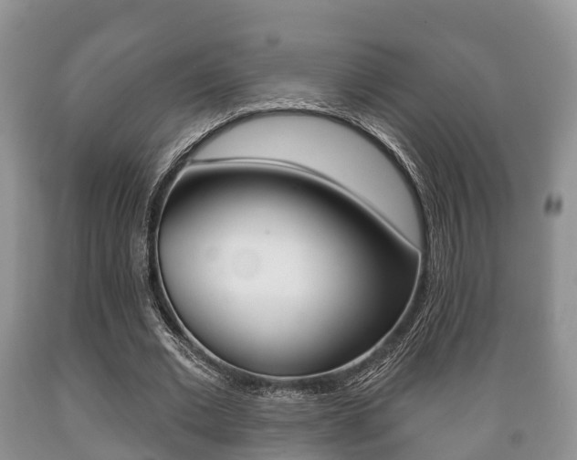 X0000089760677200706210955