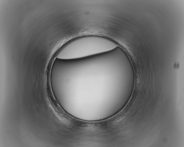 X0000089760678200706210955