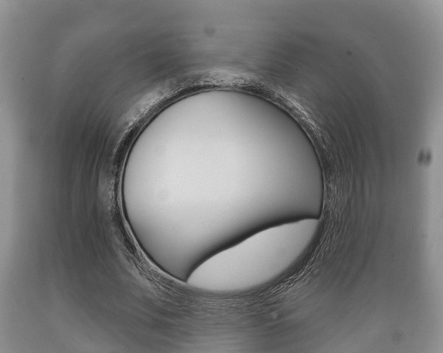 X0000089760679200706210955