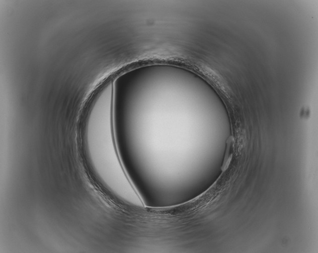 X0000089760680200706210955