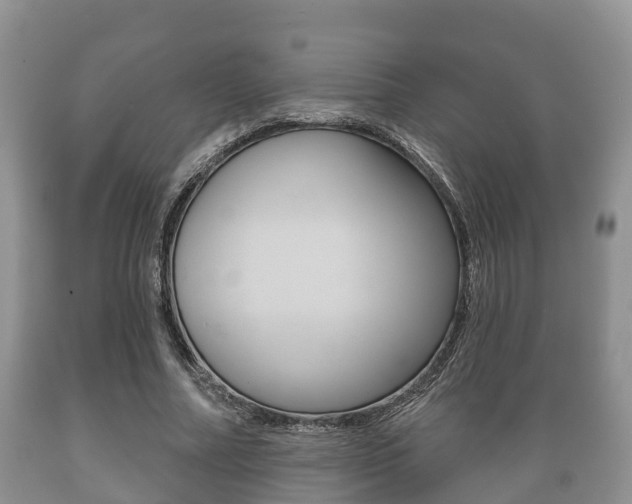 X0000089760682200706210955