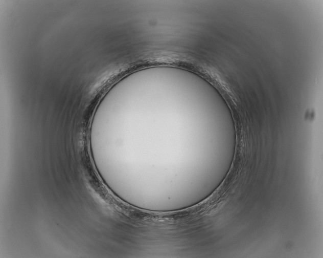 X0000089760683200706210955