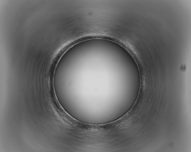X0000089760684200706210955